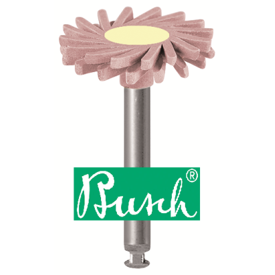 Busch